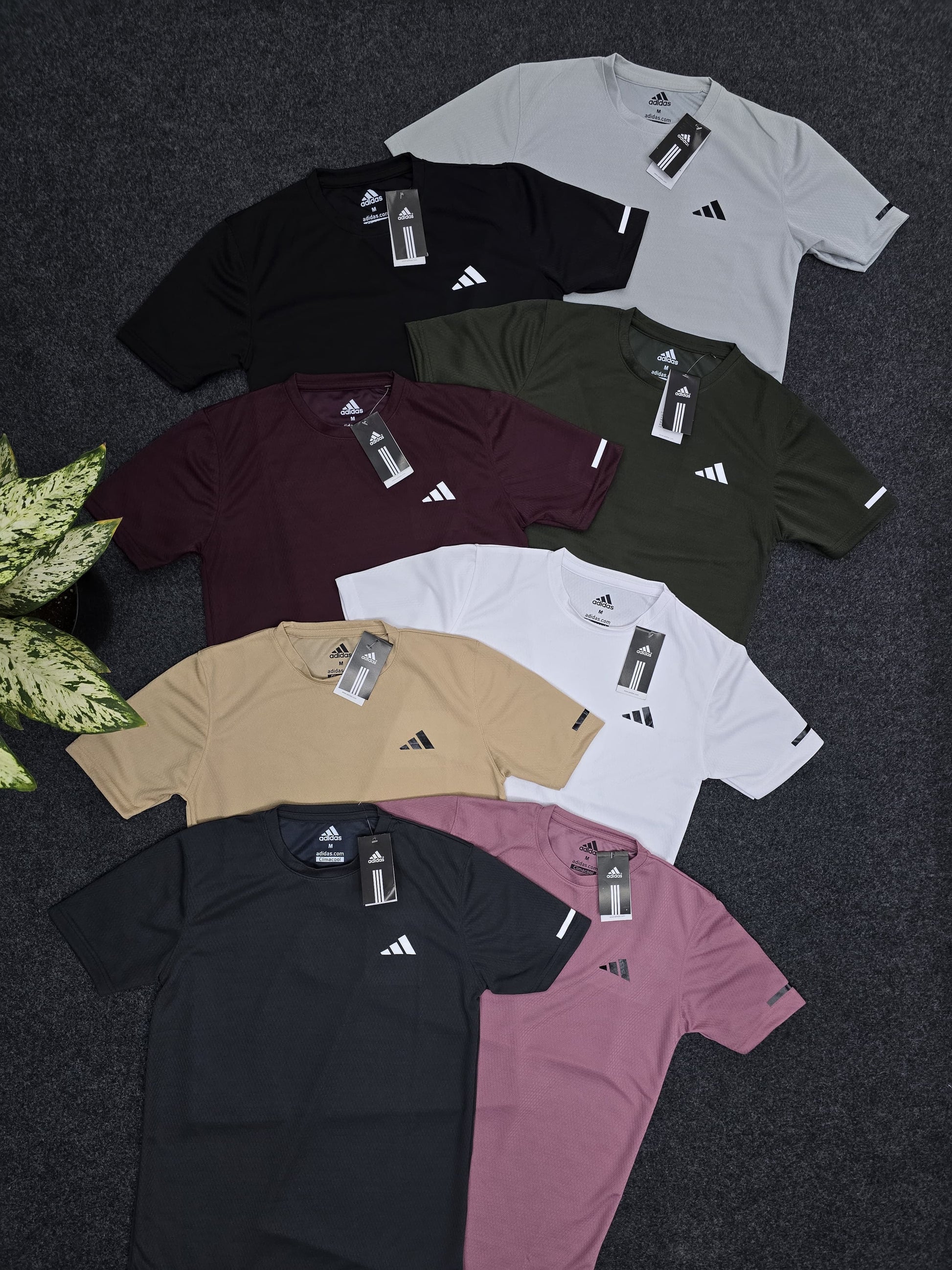 10 tshirt 999 only